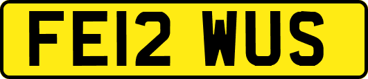 FE12WUS