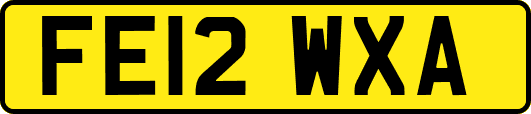 FE12WXA