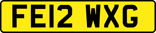 FE12WXG