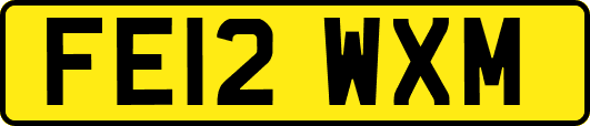 FE12WXM