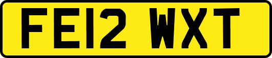 FE12WXT