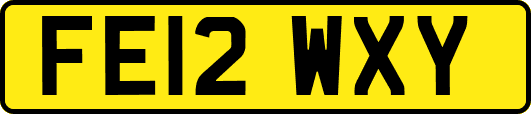 FE12WXY