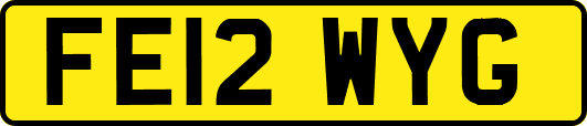 FE12WYG