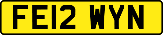 FE12WYN
