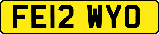 FE12WYO
