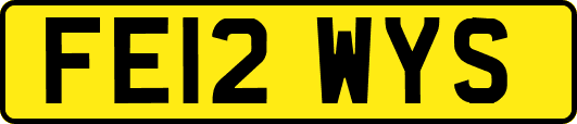 FE12WYS