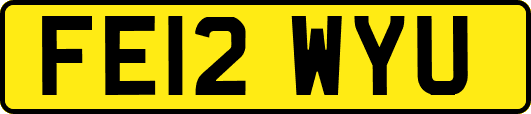 FE12WYU