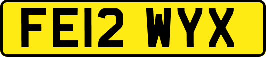 FE12WYX