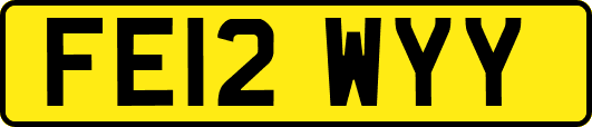 FE12WYY