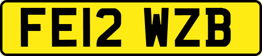 FE12WZB