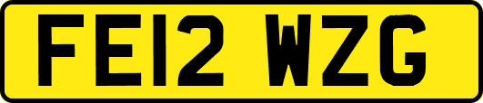 FE12WZG