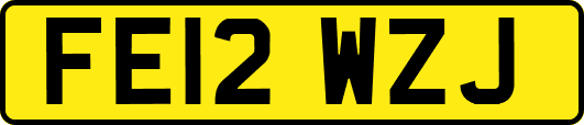 FE12WZJ