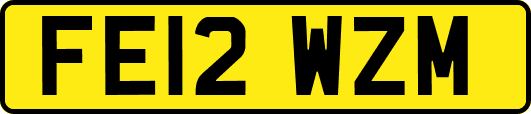 FE12WZM