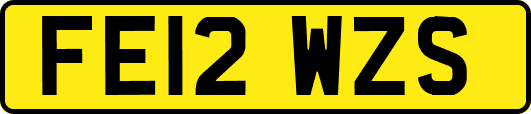 FE12WZS