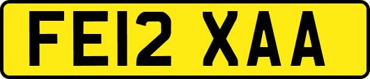 FE12XAA