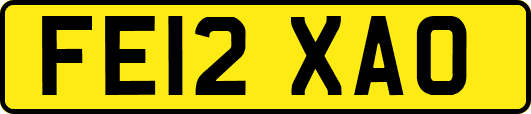 FE12XAO