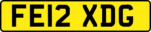 FE12XDG