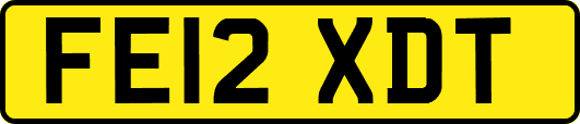 FE12XDT