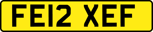 FE12XEF