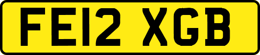 FE12XGB