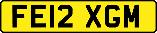 FE12XGM
