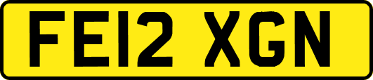 FE12XGN