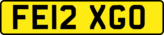 FE12XGO