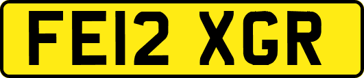 FE12XGR