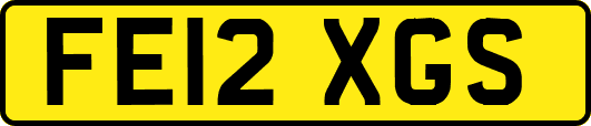 FE12XGS
