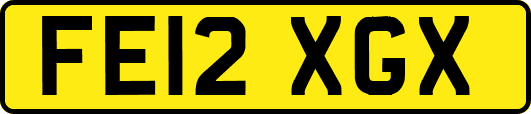 FE12XGX