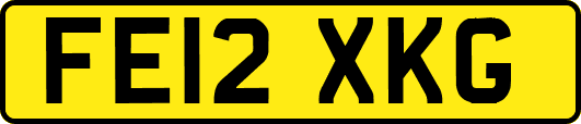 FE12XKG
