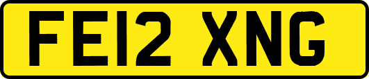 FE12XNG