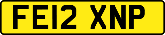 FE12XNP