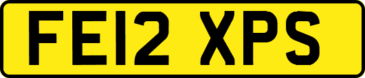 FE12XPS