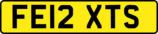 FE12XTS