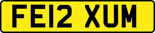 FE12XUM