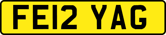FE12YAG