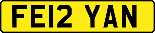 FE12YAN