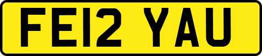 FE12YAU