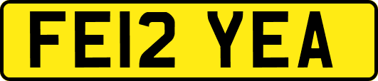 FE12YEA