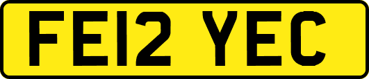 FE12YEC