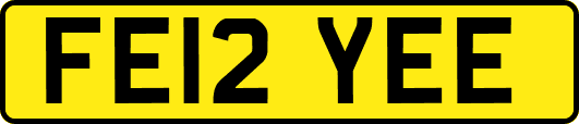 FE12YEE