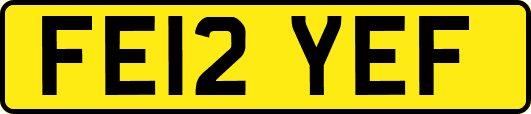 FE12YEF