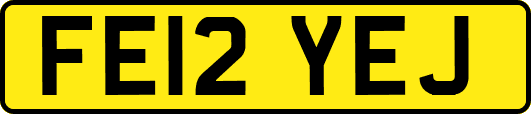 FE12YEJ