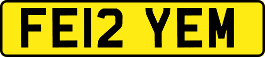 FE12YEM