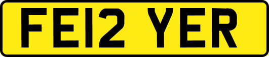 FE12YER