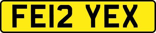 FE12YEX