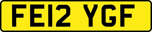 FE12YGF