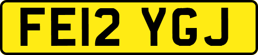 FE12YGJ