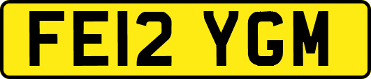 FE12YGM